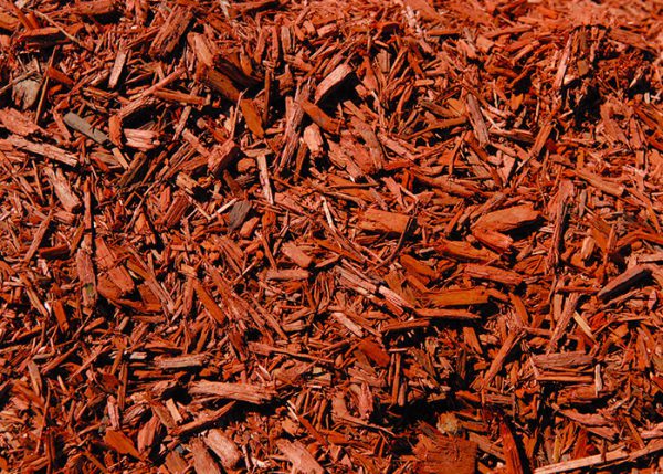 red dyed mulch