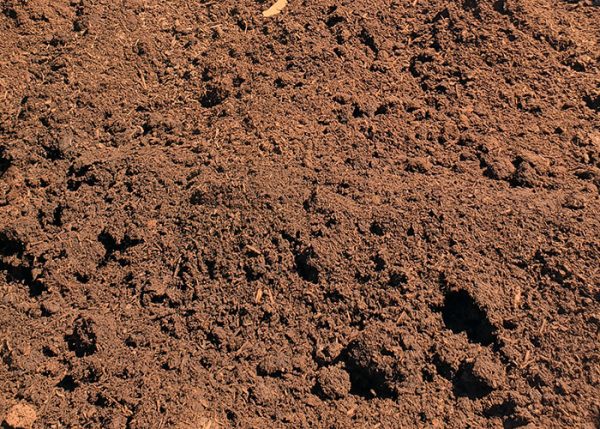 Nutri-peat alternative to traditional wood mulch